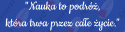 Napis "Nauka to podróż..." Dekoracje z papieru