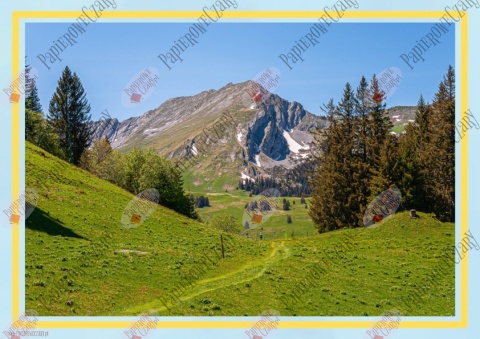 Dzień Papieski - Pomoce dydaktyczne - plik PDF - PRODUKT CYFROWY