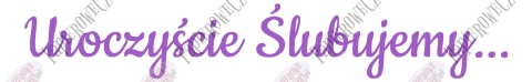 Napis "Uroczyście Ślubujemy..." 1 Dekoracje z papieru