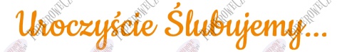 Napis "Uroczyście Ślubujemy..." 1 Dekoracje z papieru