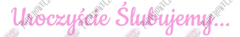 Napis "Uroczyście Ślubujemy..." 1 Dekoracje z papieru